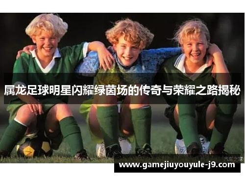 属龙足球明星闪耀绿茵场的传奇与荣耀之路揭秘