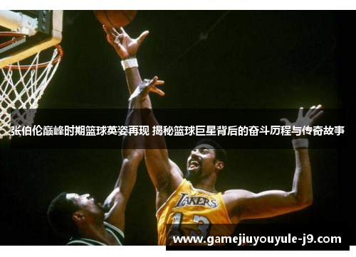 张伯伦巅峰时期篮球英姿再现 揭秘篮球巨星背后的奋斗历程与传奇故事